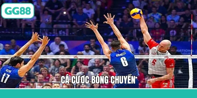 Cá Cược Bóng Chuyền - Cơ Hội Đặt Kèo Cực Đã Tại GG88