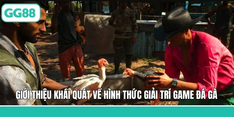 Giới thiệu khái quát về hình thức giải trí game đá gà